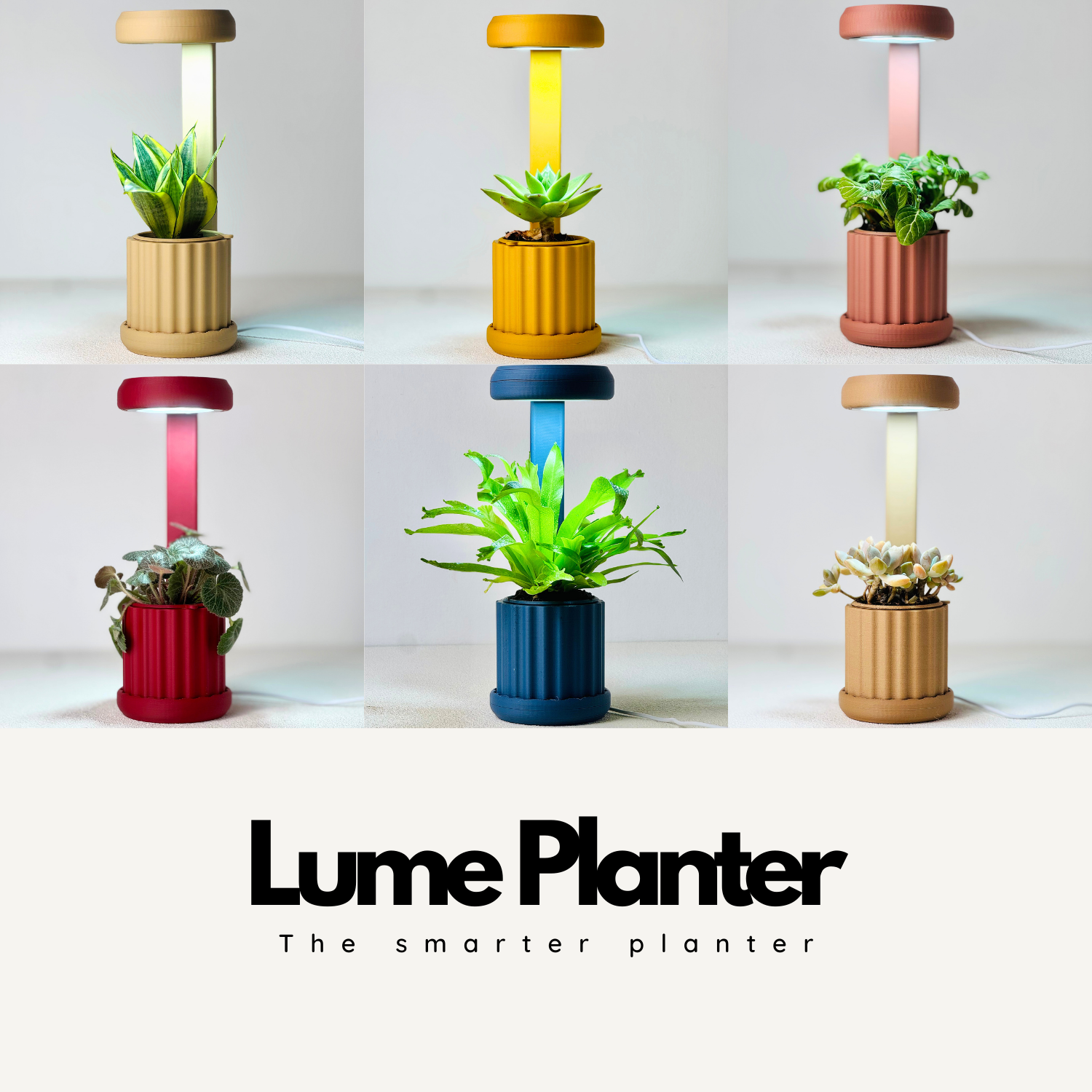 Lume Planter | Elevated Growth Vessel