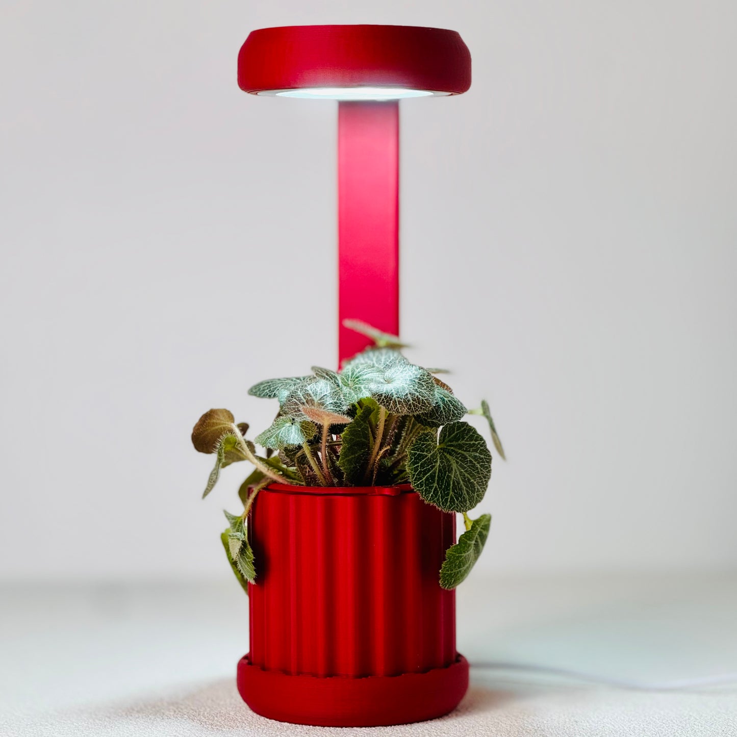 Lume Planter | Chelsea Red