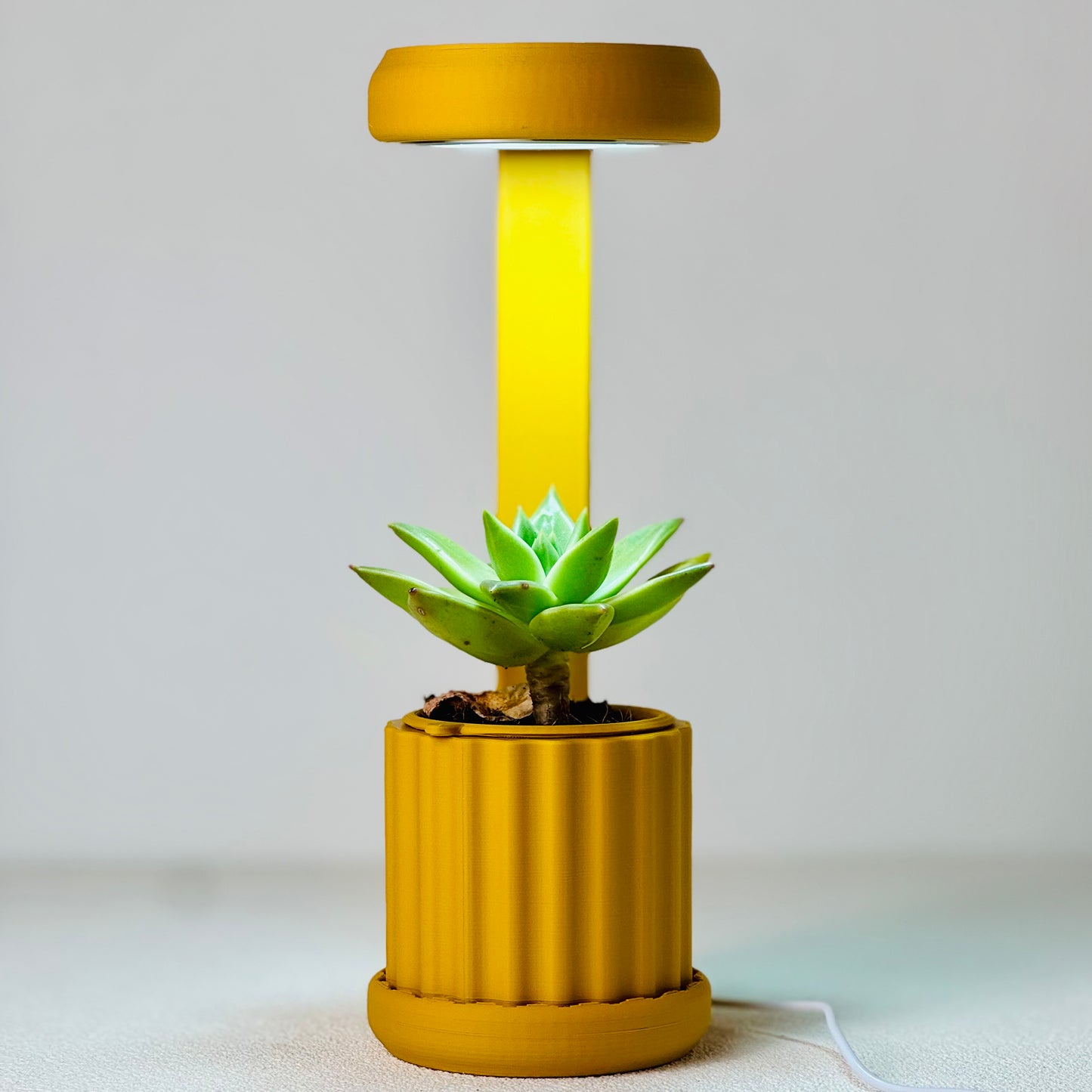 Lume Planter | Mustard Yellow