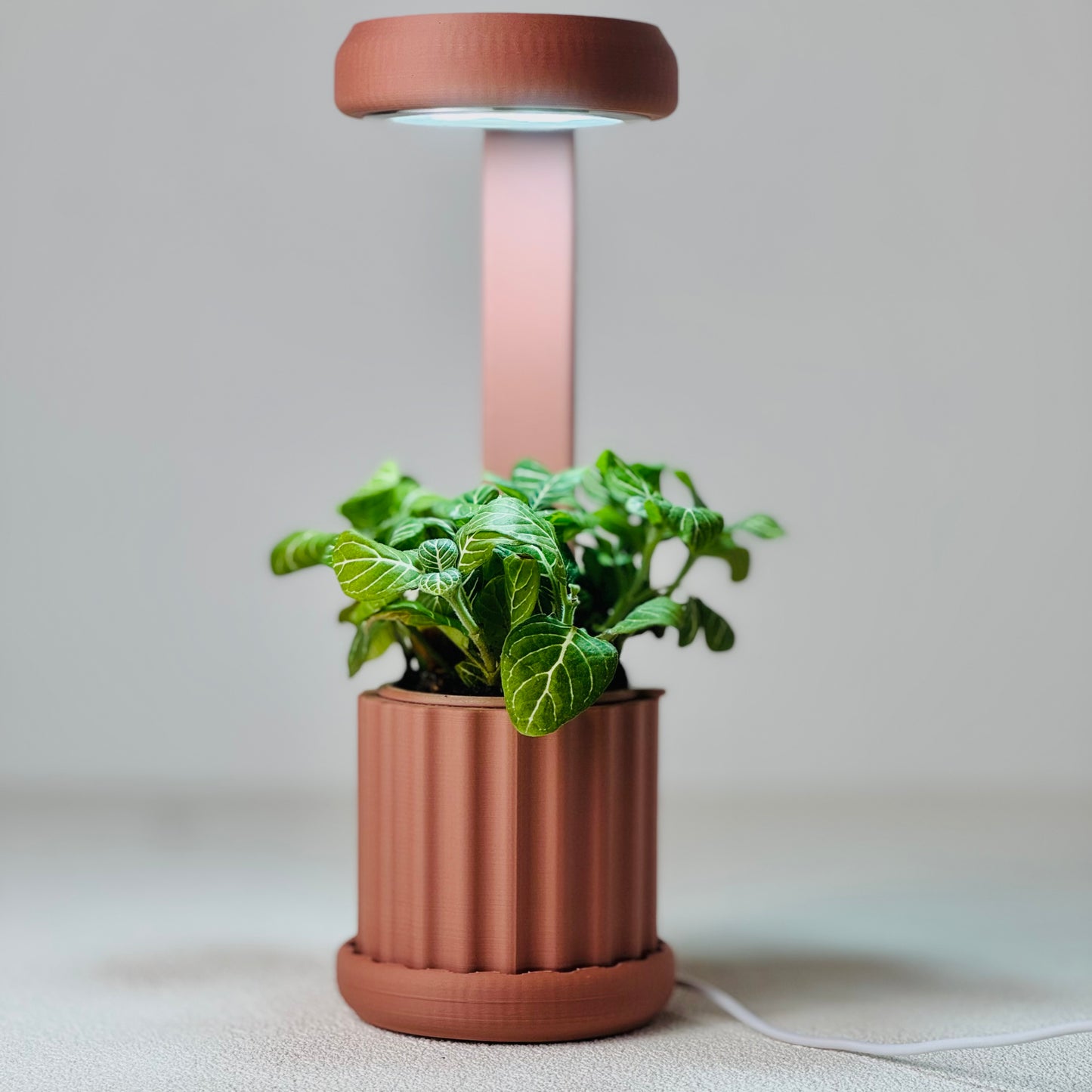 Lume Planter | Dusty Rose Terracotta