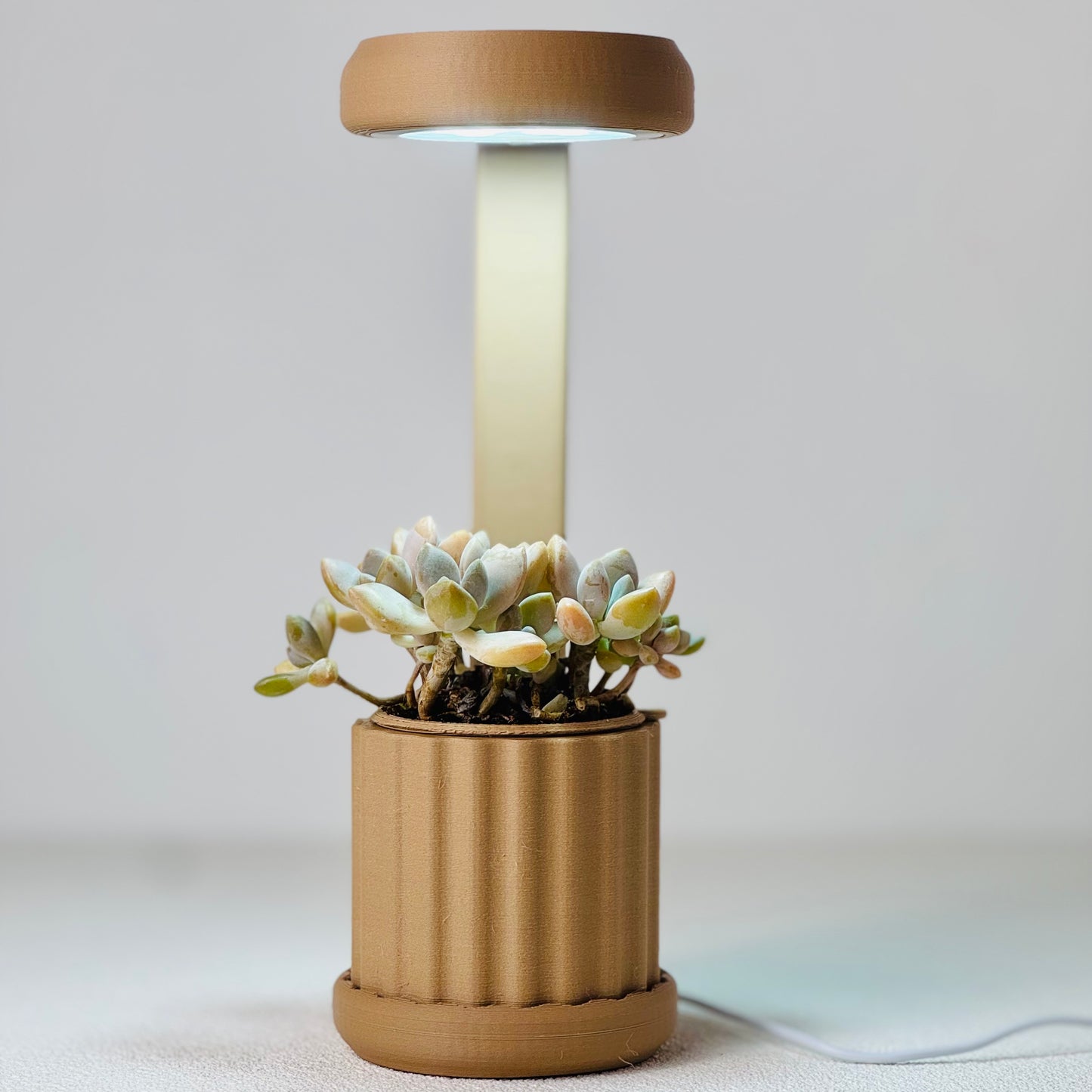 Lume Planter | Light Wood