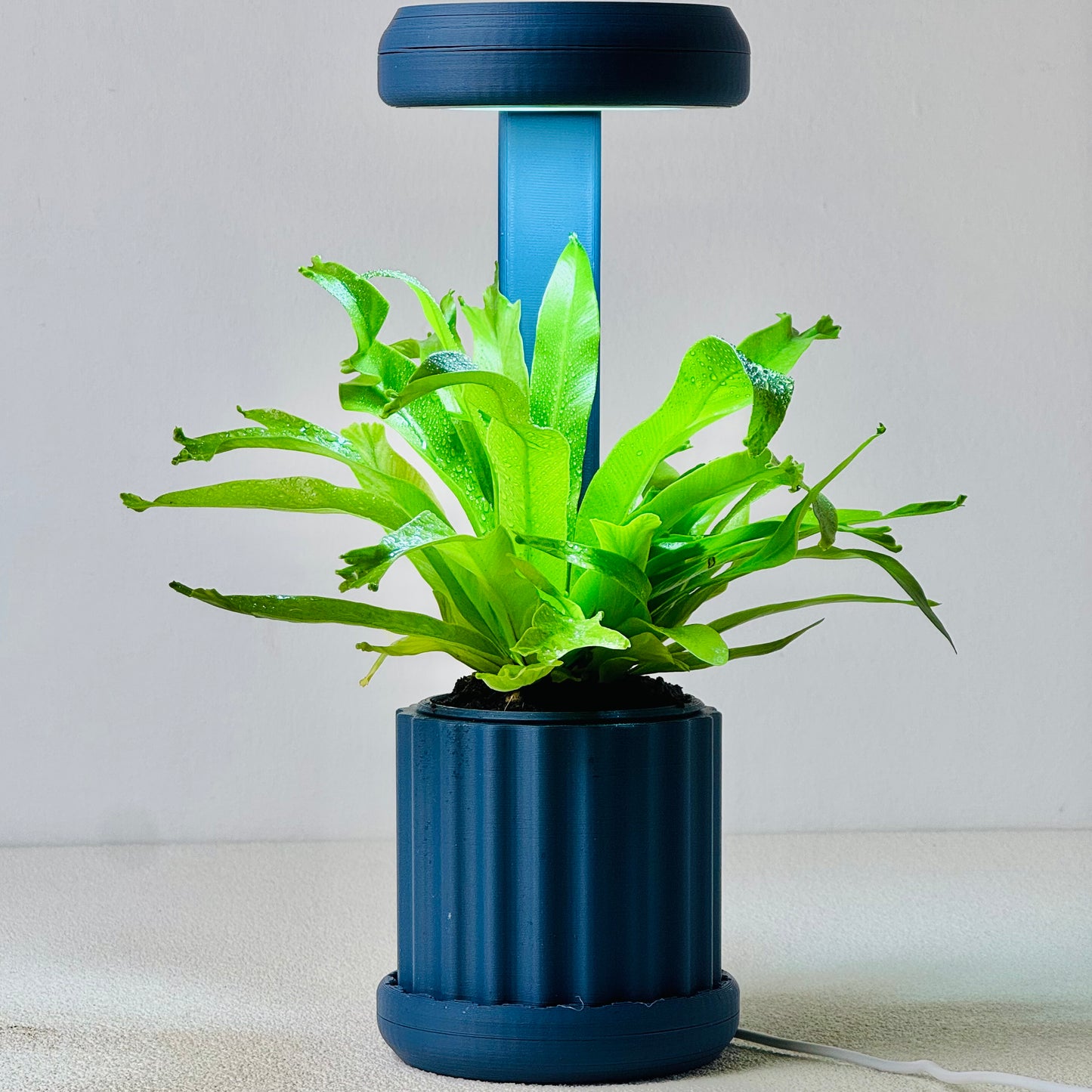 Lume Planter | Navy Blue