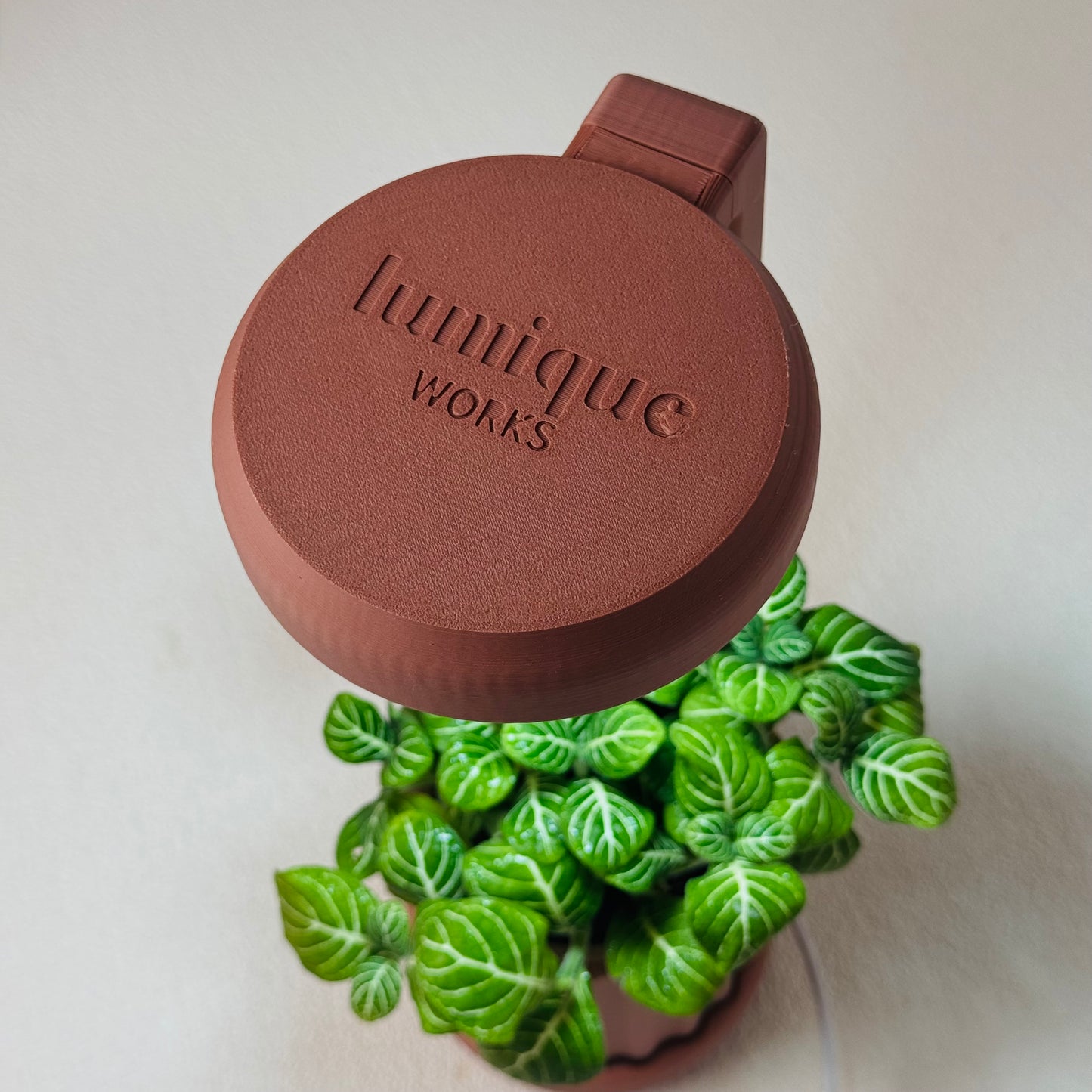 Lume Planter | Dusty Rose Terracotta