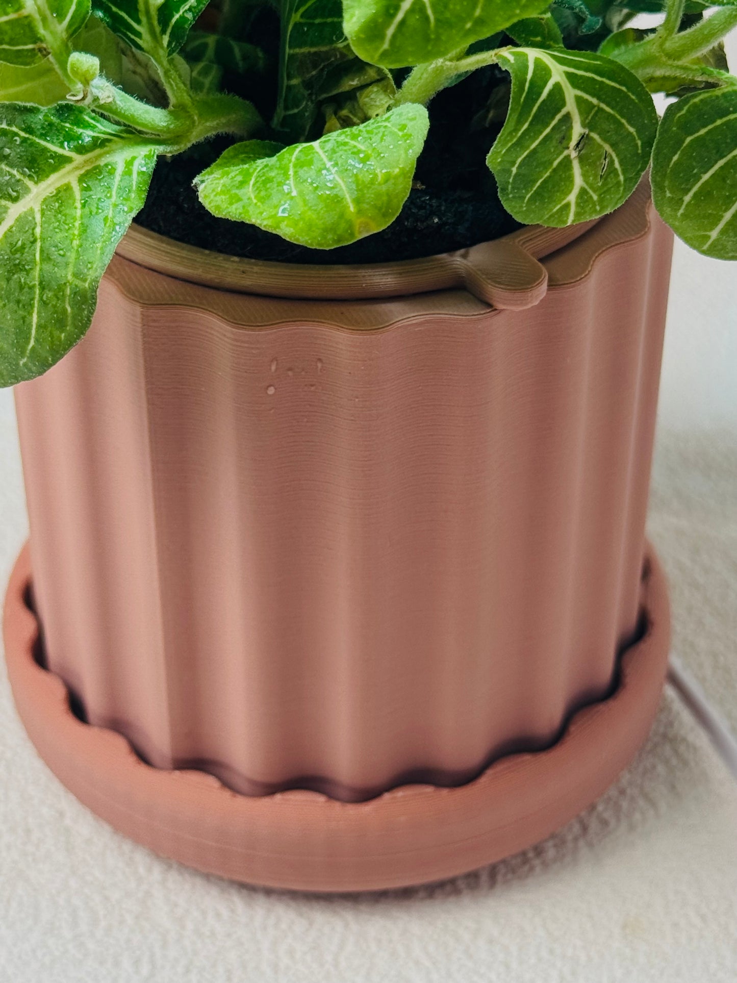 Lume Planter | Dusty Rose Terracotta
