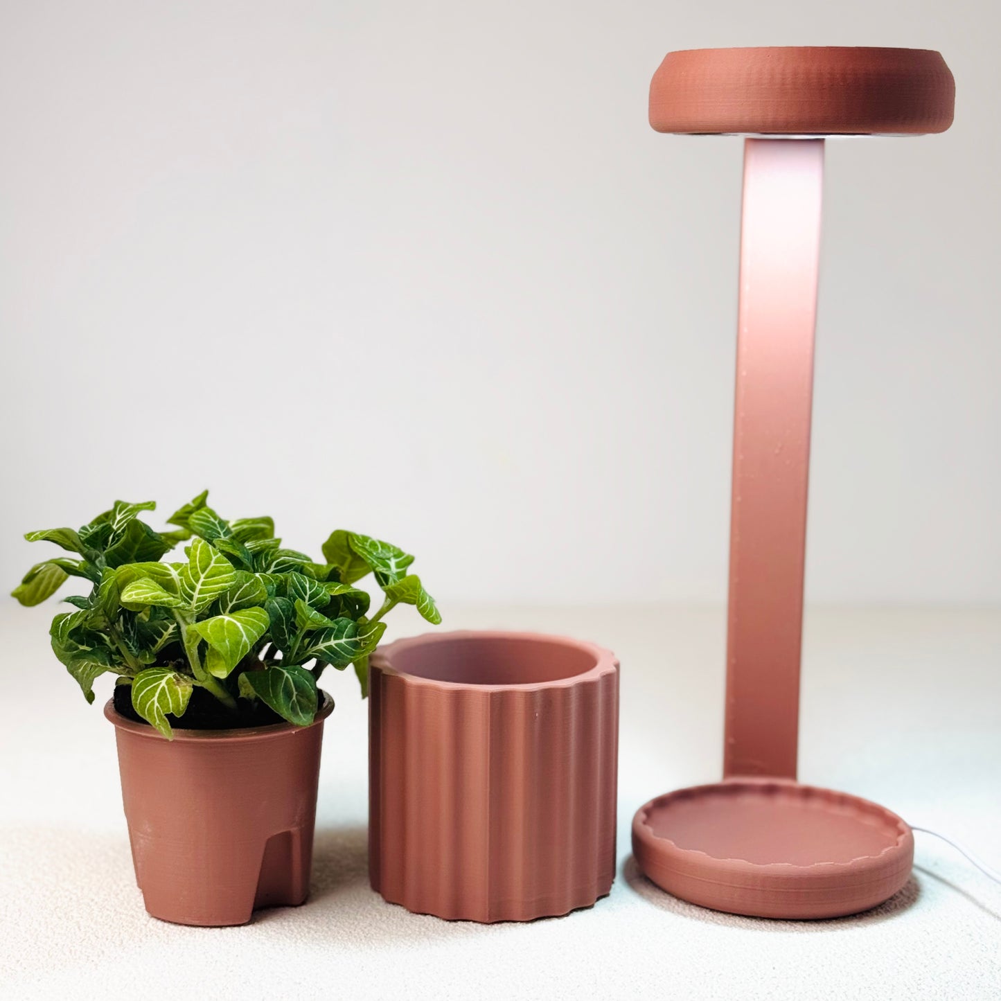 Lume Planter | Dusty Rose Terracotta