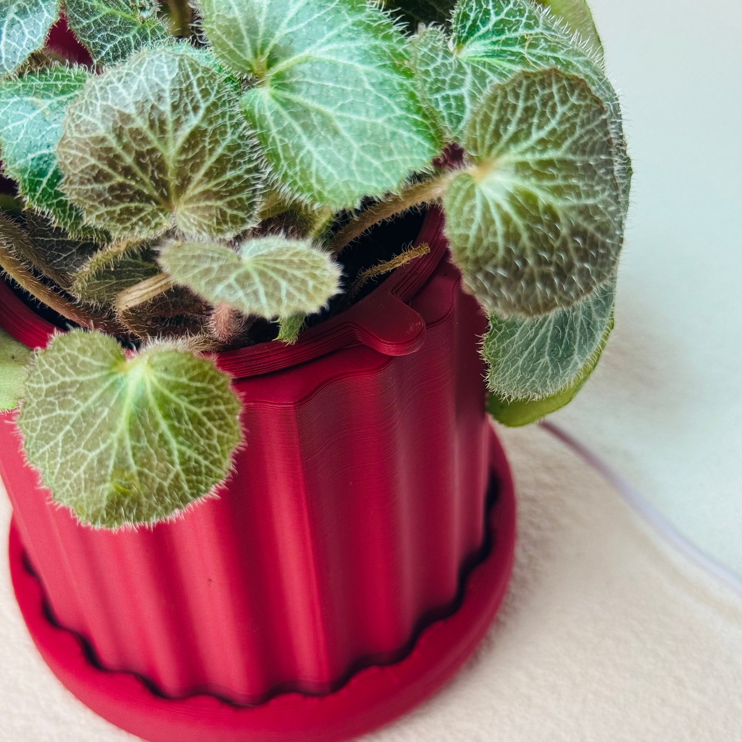 Lume Planter | Chelsea Red