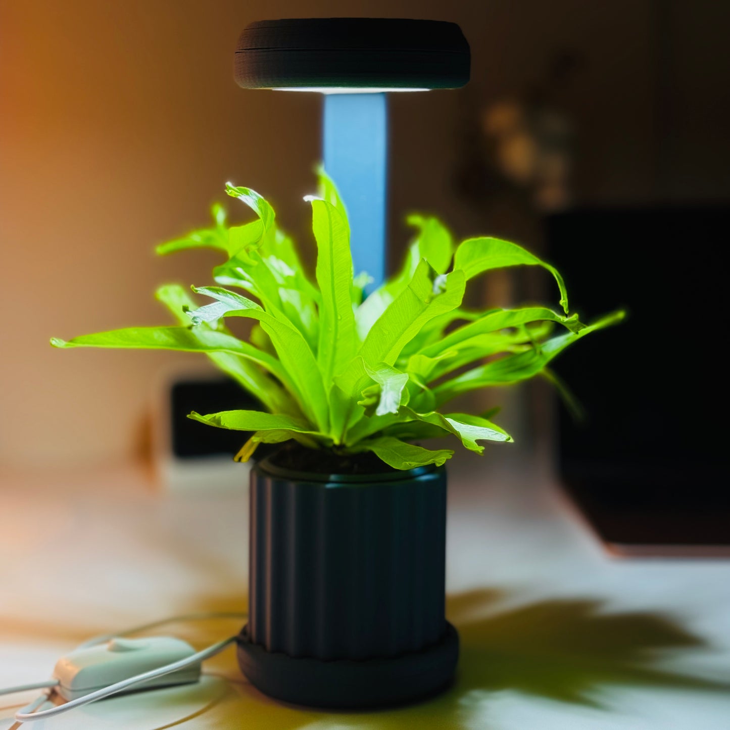 Lume Planter | Navy Blue