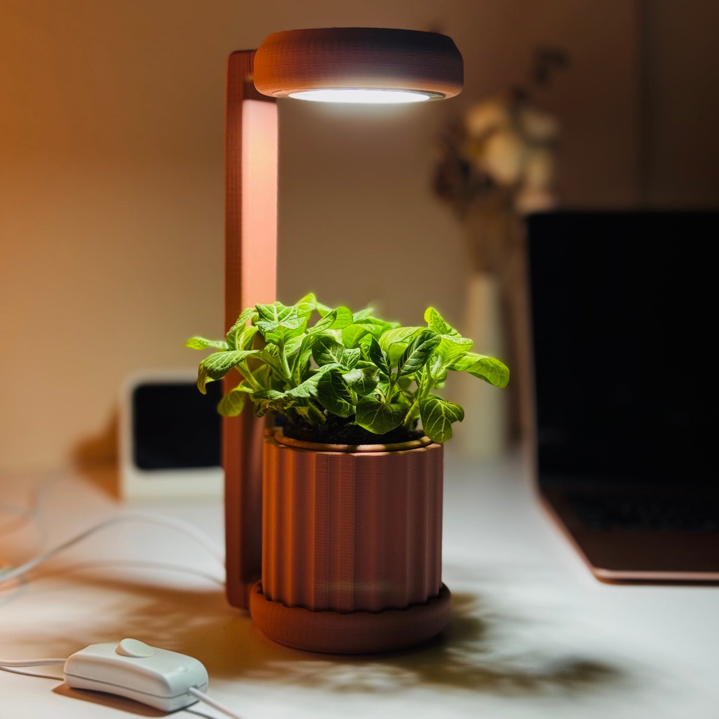 Lume Planter | Dusty Rose Terracotta