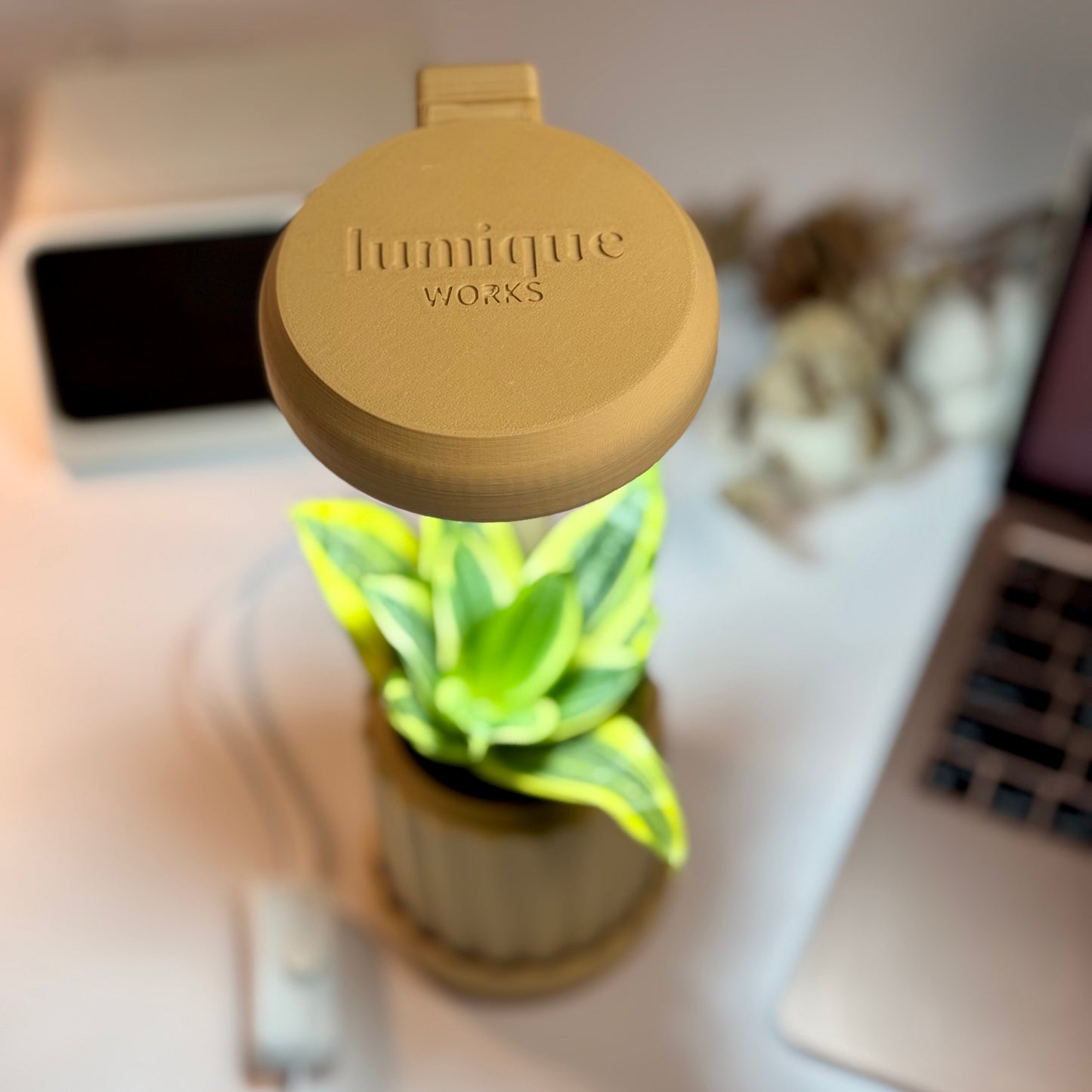 Lume Planter | Kraft