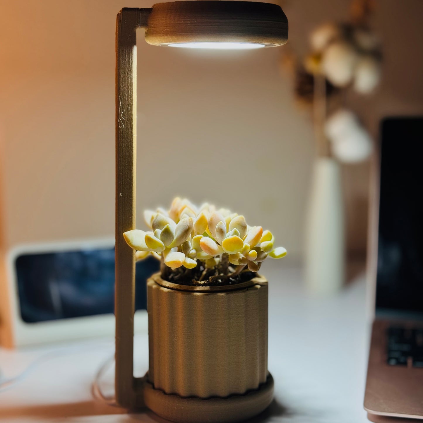 Lume Planter | Light Wood