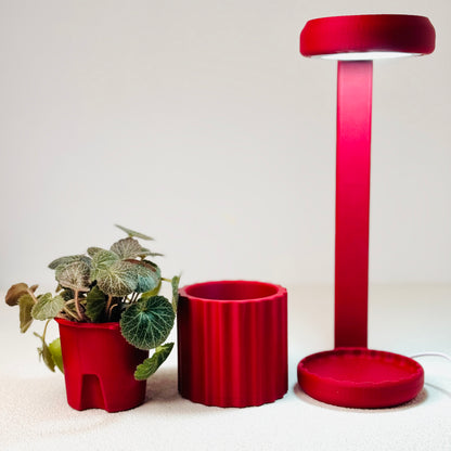 Lume Planter | Chelsea Red