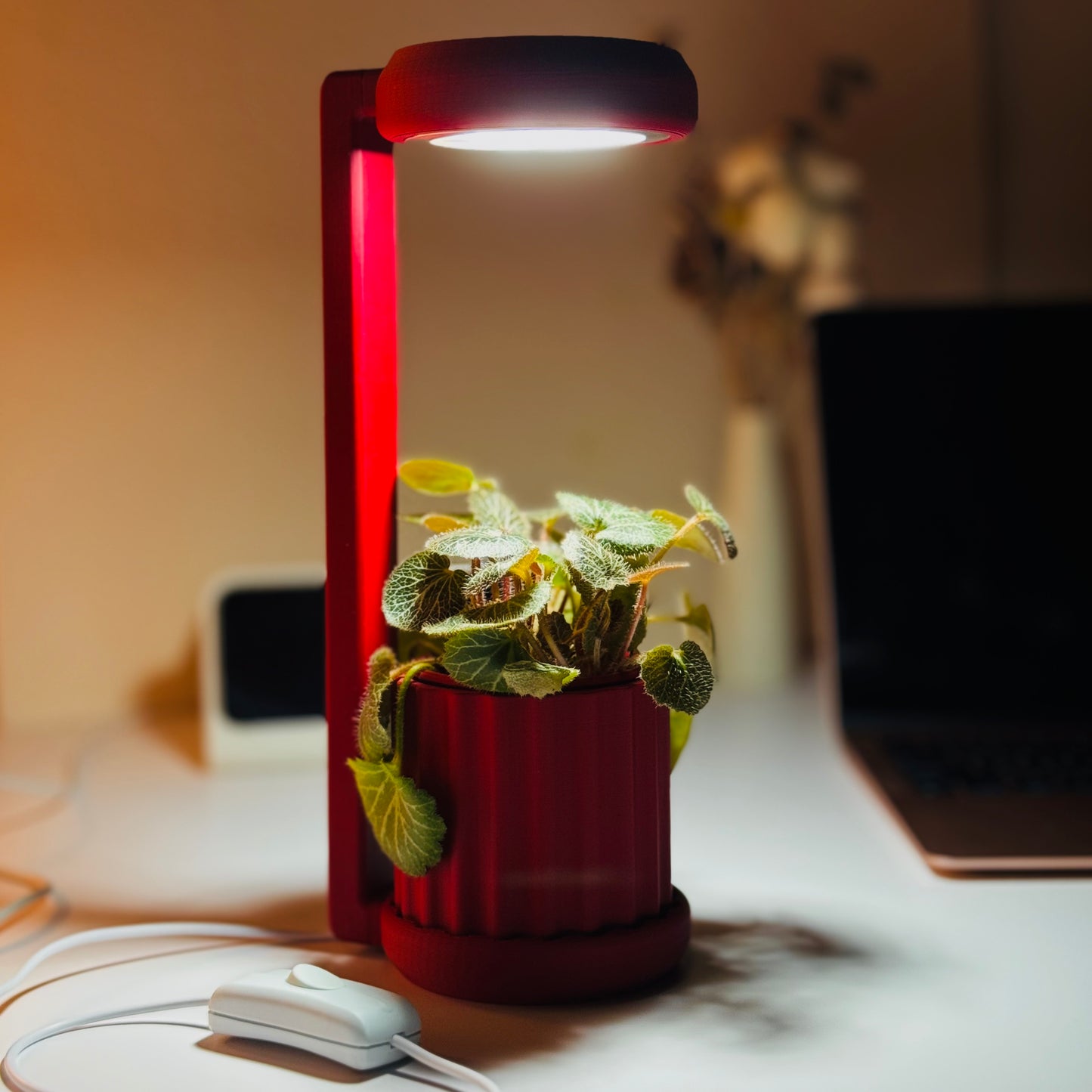 Lume Planter | Chelsea Red